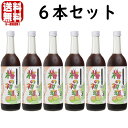 梅シロップ 梅の初恋 6本フルリニューアル 送料無料 送料込み 和歌山県 紀州 中野BC シロップ うめシロップ 割材 割…