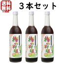 梅シロップ 梅の初恋 3本フルリニューアル 送料込み 和歌山県 紀州 中野BC シロップ うめシロップ 割材 割り材 酎ハイ サワー カクテル ノンアルコール ソフトドリンク お買い物マラソン 店内…