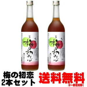 梅シロップ 梅の初恋 720ml 2本送料無料 送料込み 和歌山県 紀州 中野BC シロップ うめシロップ 割材 割り材 酎ハイ サワー カクテル ノンアルコール ソフトドリンク お買い物マラソン 店内最大ポイント10倍