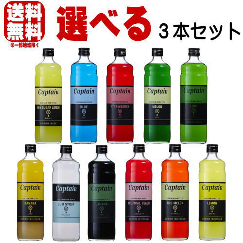 キャプテンシロップ 600ml 合計3本 選べるセット A 中村商店 大阪府 お買い物マラソン 店内最大ポイント10倍