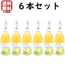 梅シロップ 梅ハニップ 6本梅Honeyp 和歌山県 紀州 プラム食品 シロップ うめシロップ 希釈用梅ドリンク 酎ハイ サワー 割材 割り材 カクテル ノンア...