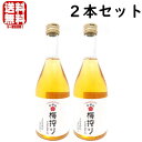 梅シロップ 梅搾り 490ml 2本石神邑 うめしぼり 和歌山県 紀州 シロップ うめシロップ 希釈用梅ドリンク 酎ハイ サワー 割材 割り材 カクテル ノンアルコール ソフトドリンク ギフト プレゼント