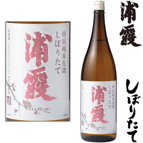 浦霞 特別純米生酒 しぼりたて 1800ml令和六年 2024年 日本酒 新酒 初しぼり しぼりたて うらかすみ 宮城県 佐浦冷蔵便での発送となります。 楽天スーパーSALE 店内最大ポイント10倍