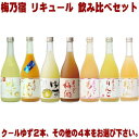 梅乃宿 クールゆず 720ml 2本とリキュール 720ml...