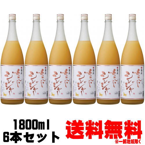 梅乃宿 あらごし ジンジャー 15度 1800ml 6本送料無料 送料込み リキュール うめのやど 梅の宿 数量限定 スパイシー ドライジンジャー ジンジャー酒 辛口 奈良県 梅乃宿酒造 ギフト プレゼント