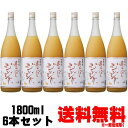 梅乃宿 あらごしジンジャー 15度 1800ml 6本送料無料 送料込み リキュール うめのやど 梅の宿 数量限定 スパイシー ドライジンジャー ジンジャー酒 ...