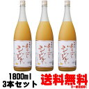 梅乃宿 あらごしジンジャー 15度 1800ml 3本送料無料 送料込み リキュール うめのやど 梅の宿 スパイシー ドライジンジャー ジンジャー酒 辛口 奈良...