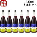 【リニューアル】紀州の梅酒とブルーベリー 12度 1800ml 6本セット 紀州のブルーベリー梅酒 梅酒 紀州 紀州梅酒 カクテル梅酒 中野BC 和歌山県 ギフ...