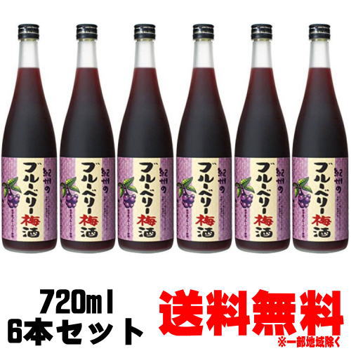 【ブルーベリー梅酒】紀州のブルーベリー梅酒 720ml 6本【送料無料】【梅酒】【紀州】【ブルーベリー梅酒】【中野BC】【和歌山県】