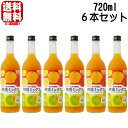 \お買い物マラソン期間中 店内最大ポイント10倍/ 【リニューアル】紀州の梅酒と柑橘ミックス 12度 720ml 6本セット 紀州の柑橘ミックス梅酒 旧和宝五柑...