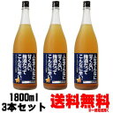 甘えてられない人生梅酒 しょうが 1800ml 3本【送料無料】【梅酒】【紀州】【中野BC】【和歌山県】【生姜】【ジンジャー】