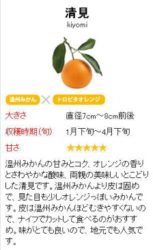 紀州 有田の狙われみかん さるのマト きよみ酒 8度 720ml【ギフト】【プレゼント】