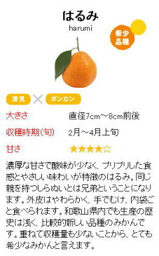 紀州 有田の狙われみかん さるのマト はるみ酒 8度 ピューレ入り 1800ml【ギフト】【プレゼント】