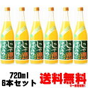 じゃばら酒 別仕立て 8度 720ml 6本送料無料 送料込み リキュール 北山村じゃばら ジャバラ酒 和歌山県 吉村秀雄商店 車坂 日本城 ギフト プレゼント