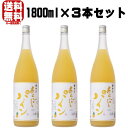 梅乃宿 あらごしパイン酒 1800ml 3本 リキュール うめのやど 梅の宿 パイン パイナップル酒 パインアップル 奈良県 梅乃宿酒造 ギフト プレゼント