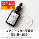 【クーポンご利用で24％OFF】KISO CARE ガラクトミセス培養液原液93.6％配合 美容液 フェイシャルトリートメントセラムGA 30ml 国産 ナイアシンアミド グリシルグリシン パンテノール ビタミンB ヒアルロン酸 ホホバオイル アミノ酸 エッセンス 送料無料【リニューアル】