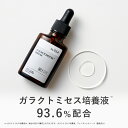 KISO CARE ガラクトミセス培養液原液93.6%配合 美容液 フェイシャルトリートメントセラムGA 30ml 国産 ナイアシンアミド グリシルグリシン パンテノール ビタミンB ヒアルロン酸 ホホバオイル アミノ酸 エッセンス 送料無料