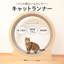 キャティーマン　じゃれ猫にゃんコプター　猫　猫用おもちゃ【HLS_DU】　関東当日便