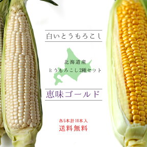 恵味ゴールド&白いとうもろこし【各5本、計10本】とうもろこし2種セット ほっかいどうから産地直送【朝もぎとうきび】糖度の高いトウキビ 生でも美味しい北海道産フルーツトウモロコシ【スイーツコーン】※送料無料※