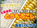 あまいんです&白いとうもろこし【各5本、計10本】とうもろこ...