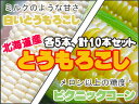 ピクニックコーン&白いとうもろこし【各5本、計10本】とうも...