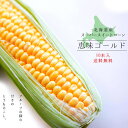 『恵味ゴールド』10本 甘~いとうもろこし【北海道 とうきび】朝もぎ!北海道産地直送!生でも美味しいフルーツトウモロコシ 産地直送トウキビ ※8月下旬頃より収穫次第順次発送予定