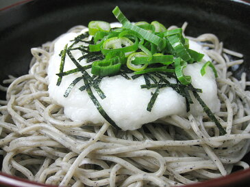 山芋とろろ 50g×10袋【北海道産】とろろいも【ご飯やお蕎麦にピッタリ！】北海道のやまいも使用 美味しいトロロ たっぷり使える10袋セット