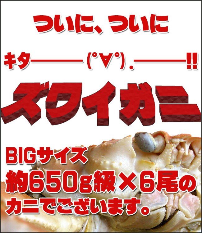 ズワイガニ 650g前後×6尾【ずわい蟹姿 合計約4kg前後】激安 訳ありではありません！ずわい蟹 大型のズワイがに【数量限定のカニ】かにの女王ズワイ蟹【別名松葉ガニ】上品な蟹の身とカニ味噌