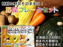野菜フレークセット お徳用4種セット【人参・南瓜・じゃが芋・...