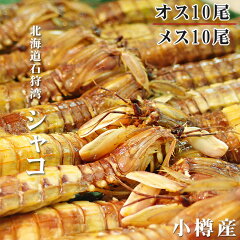 https://thumbnail.image.rakuten.co.jp/@0_mall/kissui/cabinet/01268602/it02107_raku.jpg