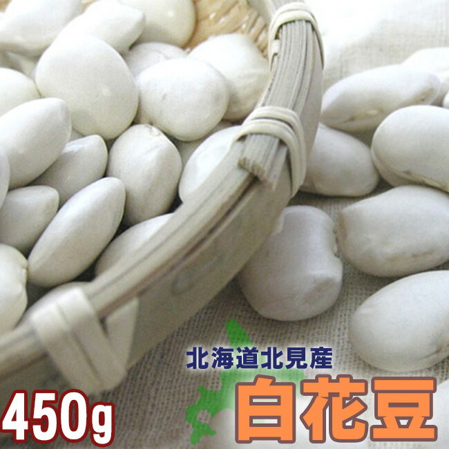 白花豆450g≪北海道北見産≫【メー