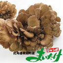 ジャンボまいたけ2株合計1kg以上【北海道愛別町産】きのこの里あいべつの舞茸【特産品のマイタケ】大株 肉厚なキノコ 舞出す程美味しい茸 ダイエットに注目されている マイタケ【送料無料】