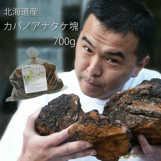 カバノアナタケ茶（かばのあなたけ茶）北海道産！チャーガ茶100%！塊（原体）700g≪健康茶≫樺孔茸茶 キノコジュース キノコ茶 チャーガティ 花粉症 母の日 父の日