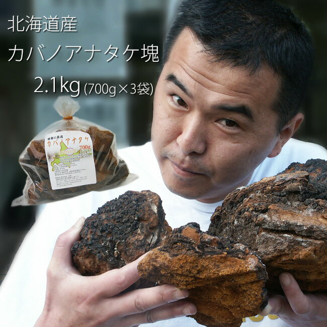 カバノアナタケ茶塊≪原体≫2.1kg【700g×3袋セット】≪業務用≫北海道産チャーガ茶100%≪かばのあなたけ茶≫送料無料【健康茶】樺孔茸茶 キノコジュース キノコ茶 チャーガティ 花粉症 母の日 父の日