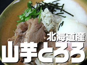 山芋とろろ 50g×10袋【北海道産】とろろいも【ご飯やお蕎麦にピッタリ！】北海道のやまいも使用 美味しいトロロ たっぷり使える10袋セット