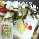 初めての、白菜一株漬30g×10袋 下漬け不要!干さなくてもOK!【メール便対応】