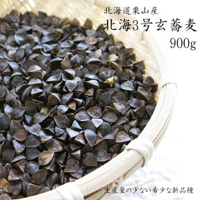 最高級！北海3号玄蕎麦≪そばの種≫900g【北海道栗山産】生産量の少ない希少な新品種「北海3号」プレミア種 玄そば 厳選大粒 家庭菜園 スプラウト 50坪用【メール便対応】※令和5年度産