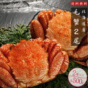 毛がに500g2尾【ボイル毛蟹】特大の北海道産毛ガニ 蟹味噌が最高のカニ 三大蟹の1つのけがに ボイル毛蟹 送料無料