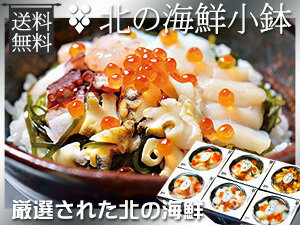 北の海鮮小鉢【ほっき貝・ほたて・甘えび・つぶ・いか・たこ】北のかいせん丼【甘海老・帆立・北寄貝・螺・烏賊・蛸】ホタテ・ホッキ貝・ツブ・甘エビ・タコ・イカ【北海の海の幸】送料無料