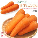 雪下にんじん10kg JAようてい≪春堀りニンジン・雪の下人参≫【訳あり・規格外・サイズ無選別】北海道虻田郡真狩村【まっかり村】雪の下にんじん 送料無料!※只今...