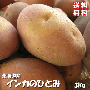 インカのひとみ 3kg【サイズ無選別】北海道産地直送 いんかの瞳 甘いじゃがいも 美味しいジャガイモ【北海道産 インカ ひとみ】potato ポテト【ギフト 贈物 贈答品】黄金じゃがいも 黄色ジャガイモ【送料無料】 ※