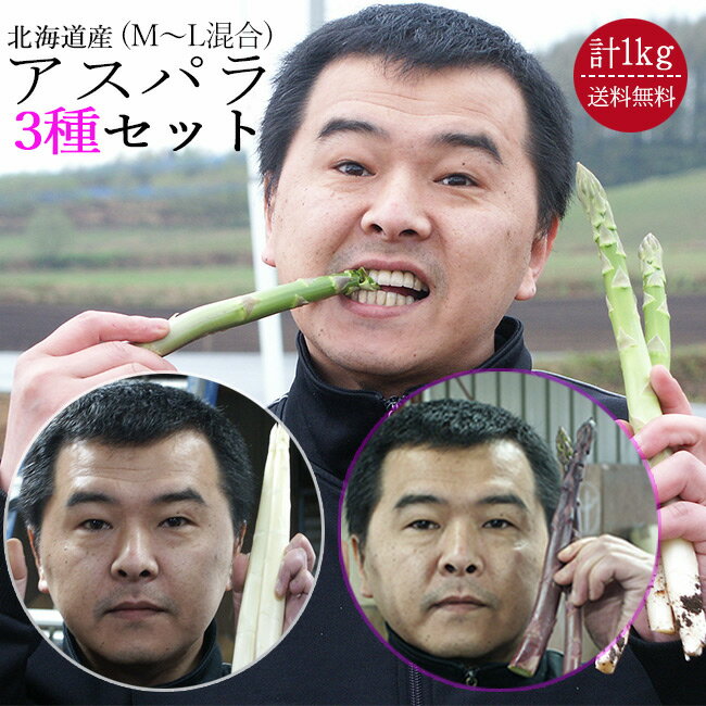 アスパラガス3種(グリーンアスパラ500g、ホワイトアスパラ250g、紫アスパラ250g)【M〜L混合、1kg】 送料無料!北海道産