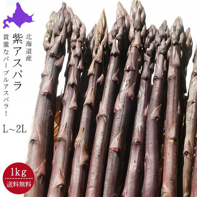 紫アスパラガス【L〜2L混合、1kg】送料無料！北海道産【パープルアスパラ】あすぱらがす 幻のむらさきアスパラ 産地直送※只今、発送中！