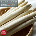 ホワイトアスパラガス超極太【3L以上、1kg】送料無料！北海道産※5月上旬頃より収穫次第順次発送