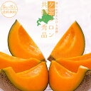 夕張メロン【共撰 秀品】 6玉≪合計8kg≫お中元贈答用高級マスクメロン【赤肉メロン】送料無料!※只今発送中!