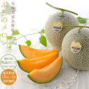 ふらのメロン秀品1.6kg 2玉 【北海道富良野メロン】平均糖度16度のめろん JAふらのから秀品の甜瓜をお届けします 甘~いフラノメロンは贈答用【御中元】にも最適【北の国からの富良野めろん】送料無料※7月中旬頃より収穫次第順次発送
