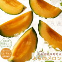 ふらのメロン秀品計8kg 4~6玉 送料無料【北海道富良野メロン】平均糖度16度のめろん JAふらのから秀品の甜瓜をお届けします甘~いフラノメロンは贈答用【御中元】にも最適【北の国からの富良野めろん】送料無料※7月中旬頃より収穫次第順次発送