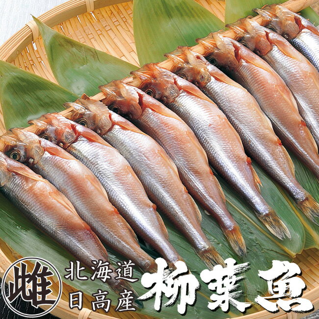 本ししゃもメス30尾【北海道産本柳葉魚】卵を抱えた雌の子持ちシシャモ 北海道の特産種の本シシャモ【簡単調理】海鮮ギフト 御中元や御歳暮等贈り物にも【本物をご家庭で】卵の甘みと食感が癖…