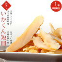 いかくん短冊 150g【訳あり品 B品】厚み不揃い 大きさ不揃い【大容量 イカ珍味】烏賊燻製風味 いか燻【わけあり ちんみ】酒の肴 おつまみ お茶請け おやつ【数量限定 海鮮】メガ盛り 期間限定【父の日 敬老の日 ギフト】【メール便対応】