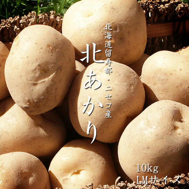 北あかり 北海道産じゃがいも【LMサイズ】10kg≪北海道留寿都・ニセコ産ジャガイモきたあかり≫訳ありではありません≪じゃがいも≫【送料無料】※只今、発送中!